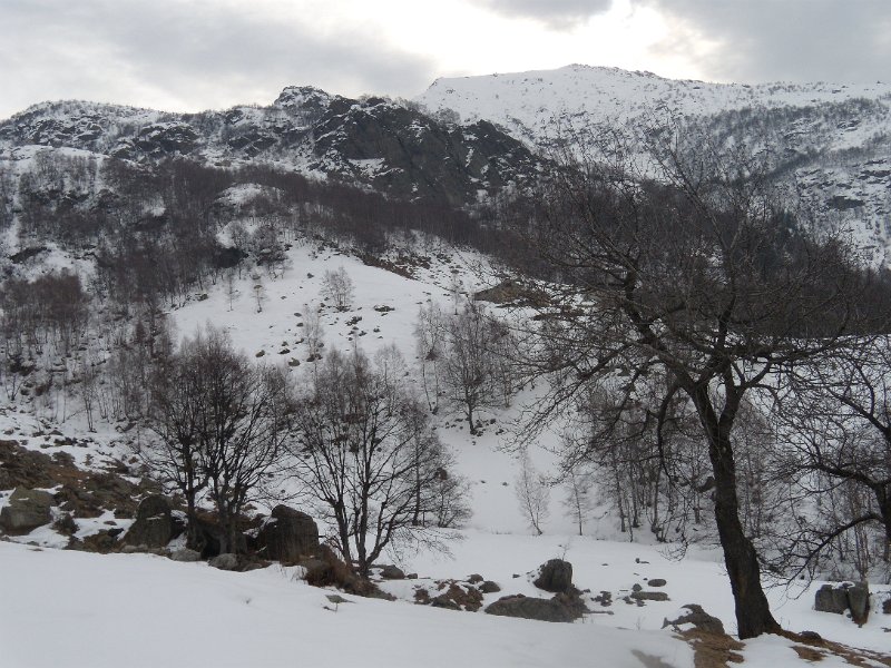 fine febbraio 2011 024.jpg